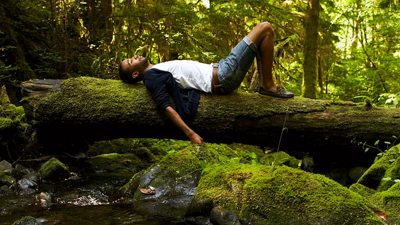 Nature stress relief